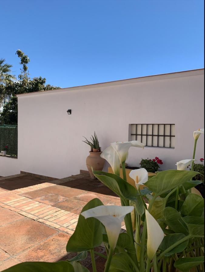 A Estrenar Preciosa Suite-Centrico-Con Jardin Y Porche Torremolinos Eksteriør billede